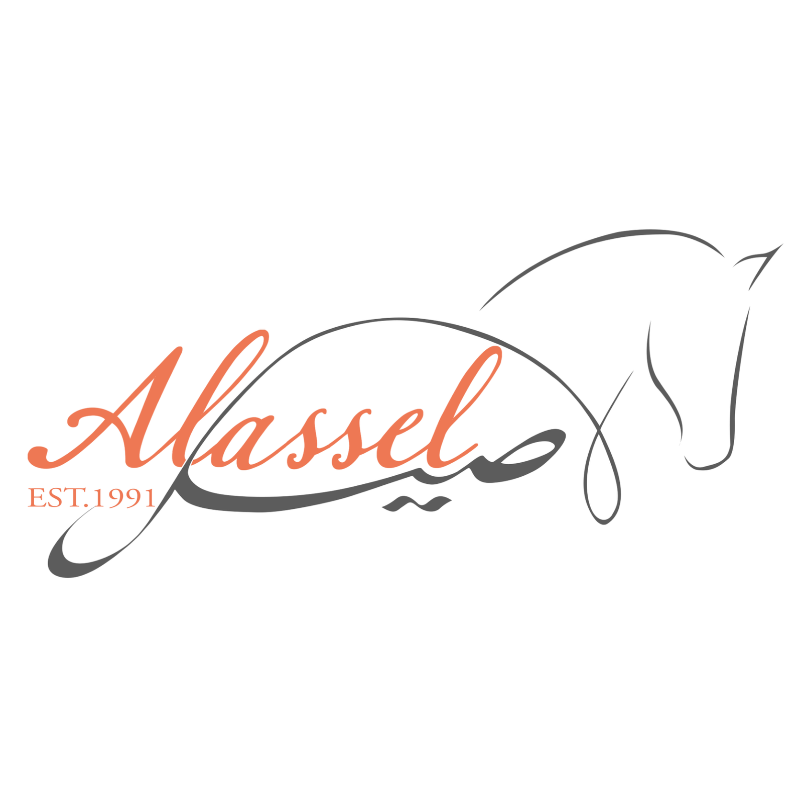 نجم الرمال الاصيل